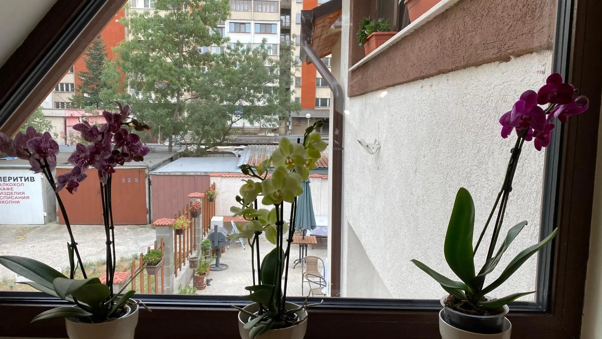 Gasthuis Sofia Family House - Free Parking Hotel