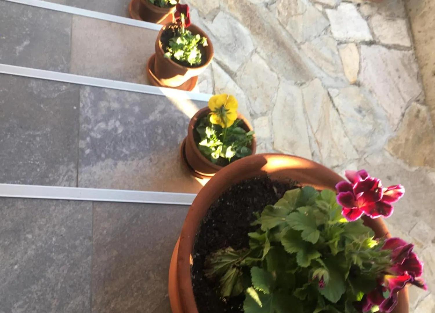Sofia Family House - Free Parking Hotel 3*,  Bulgaria