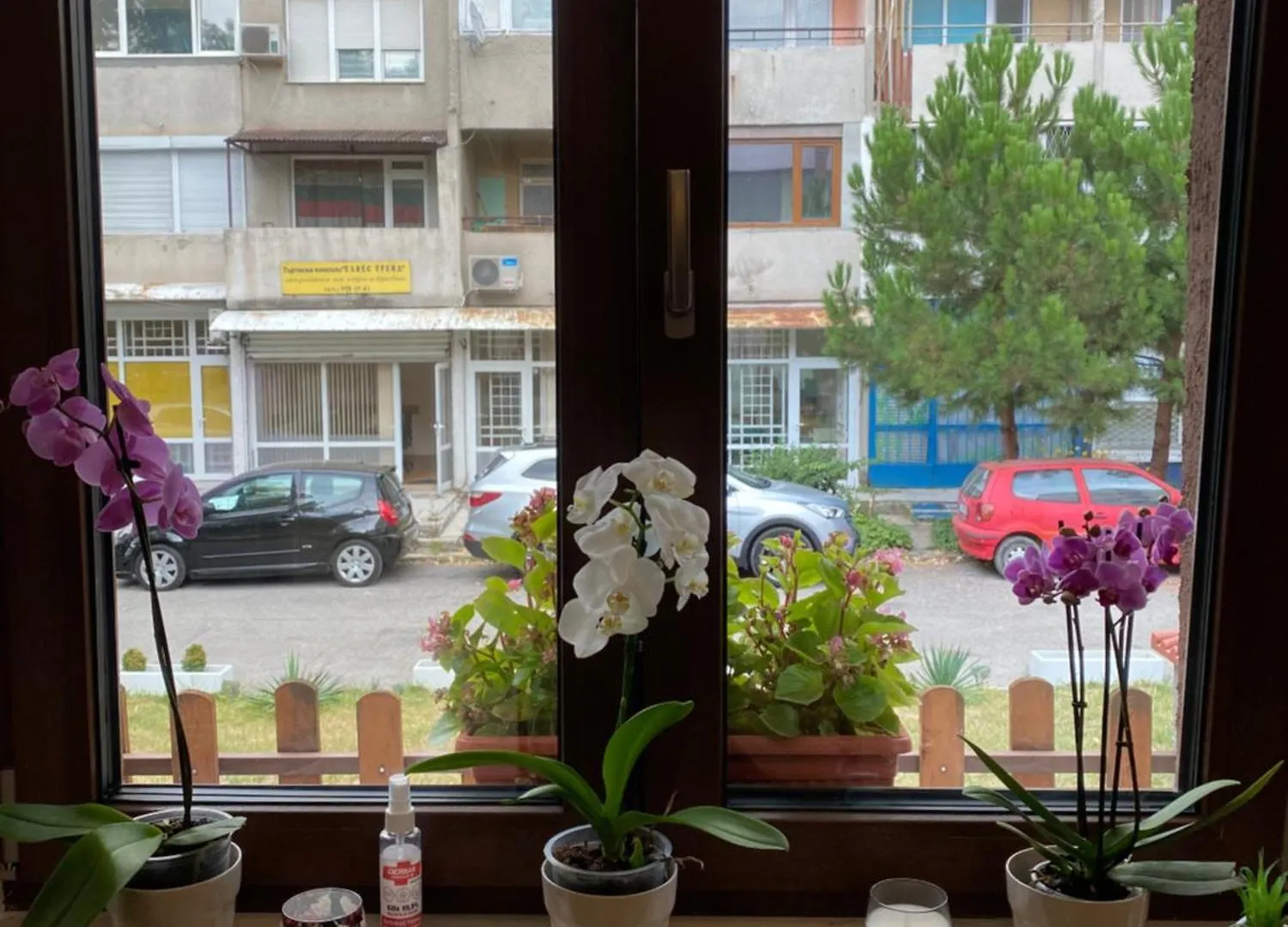 *** Guest house Sofia Family House - Free Parking Hotel Bulgaria